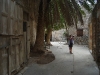Spinalonga12