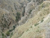 Topolinia2