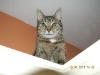 DSCN0678