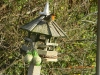 DSCN0237