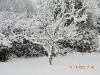 DSCN0264