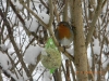 DSCN0275