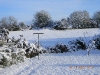 DSCN0278