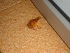 DSC05370