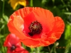 dscn2598