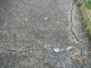 DSCN4878