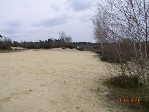 DSCN4915